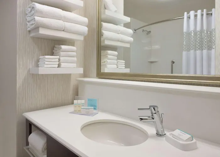 Hotel Hampton & Chicago O'hare 3*