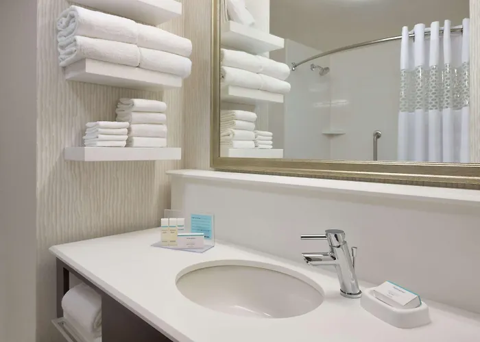 Hotel Hampton & Chicago O'hare